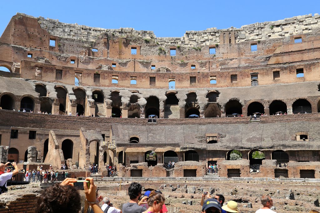 Coliseo, Roma, Italia. by Octavio Aldea