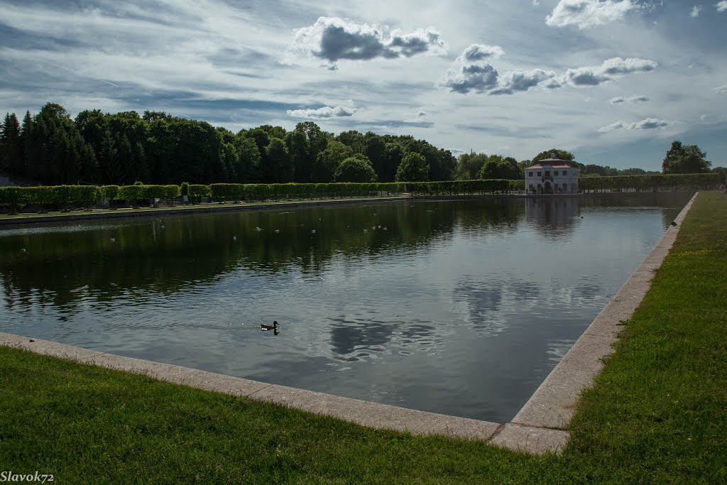 Peterhof. The Marly Pond and palace. by Viacheslav Frolakov