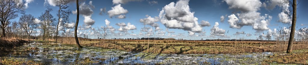 Fochteloërveen by Martijn Burgler