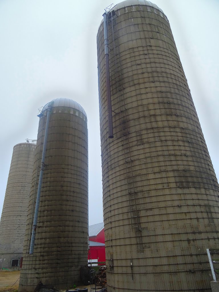 Three Concrete Stave Silos by Corey Coyle