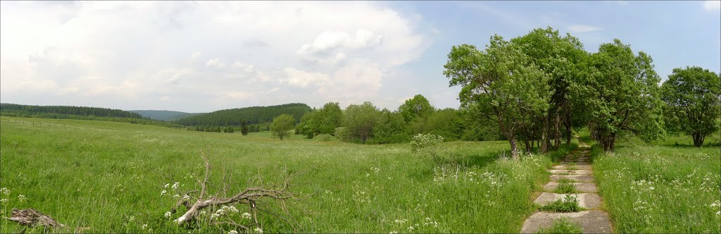 Pastviny - Grunwald u Moldavy by Milan Pekky Bouřka