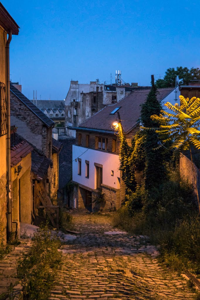 Budapest, Felhévíz, Hungary by hatja-budapest