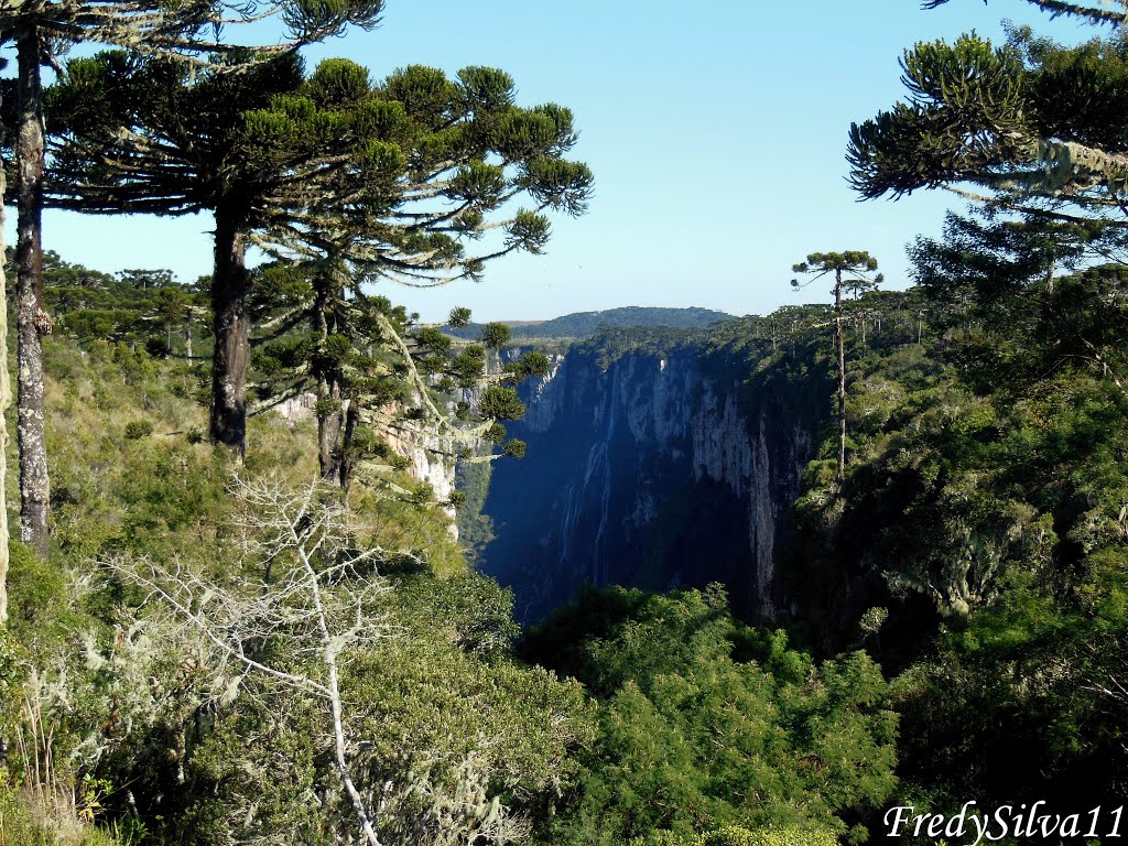 Canyon do Itaimbezinho,Cambará do Sul-RS/Praia Grande-SC,Brasil. by Fredy Silva (FredySi…