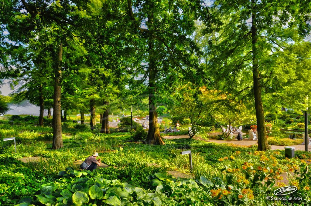 Planten un Blomen, Hamburg 0827_2369-(C)FoSalinos by Fotosillus