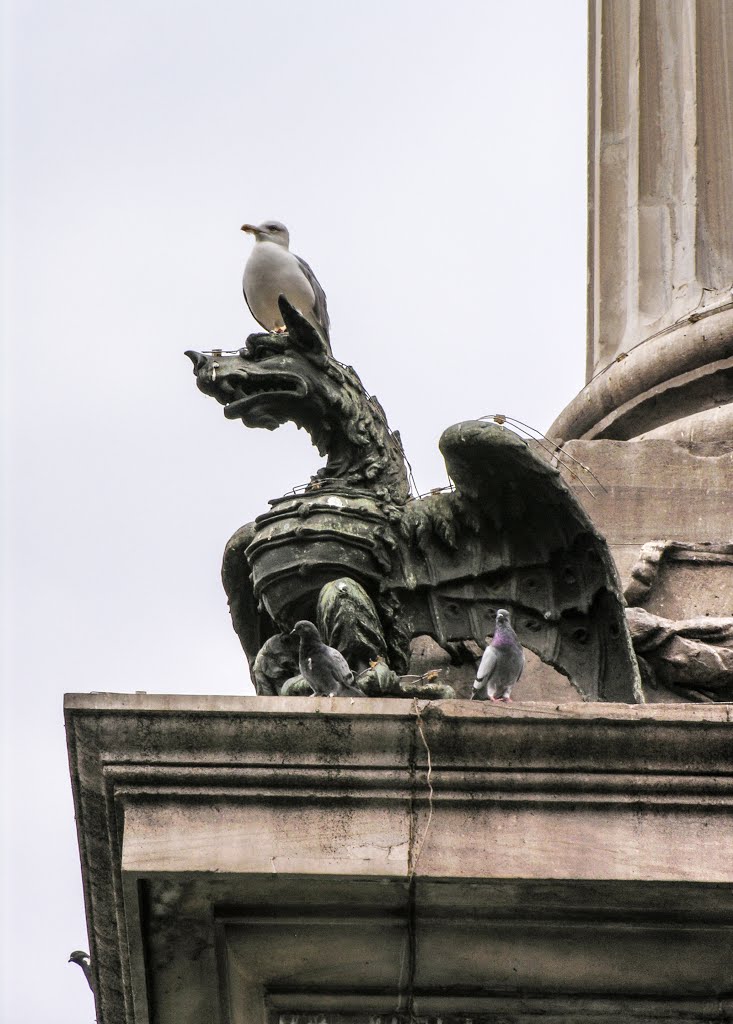 Basilica di Santa Maria Maggiore and surroundings by Alexander Zaytsev