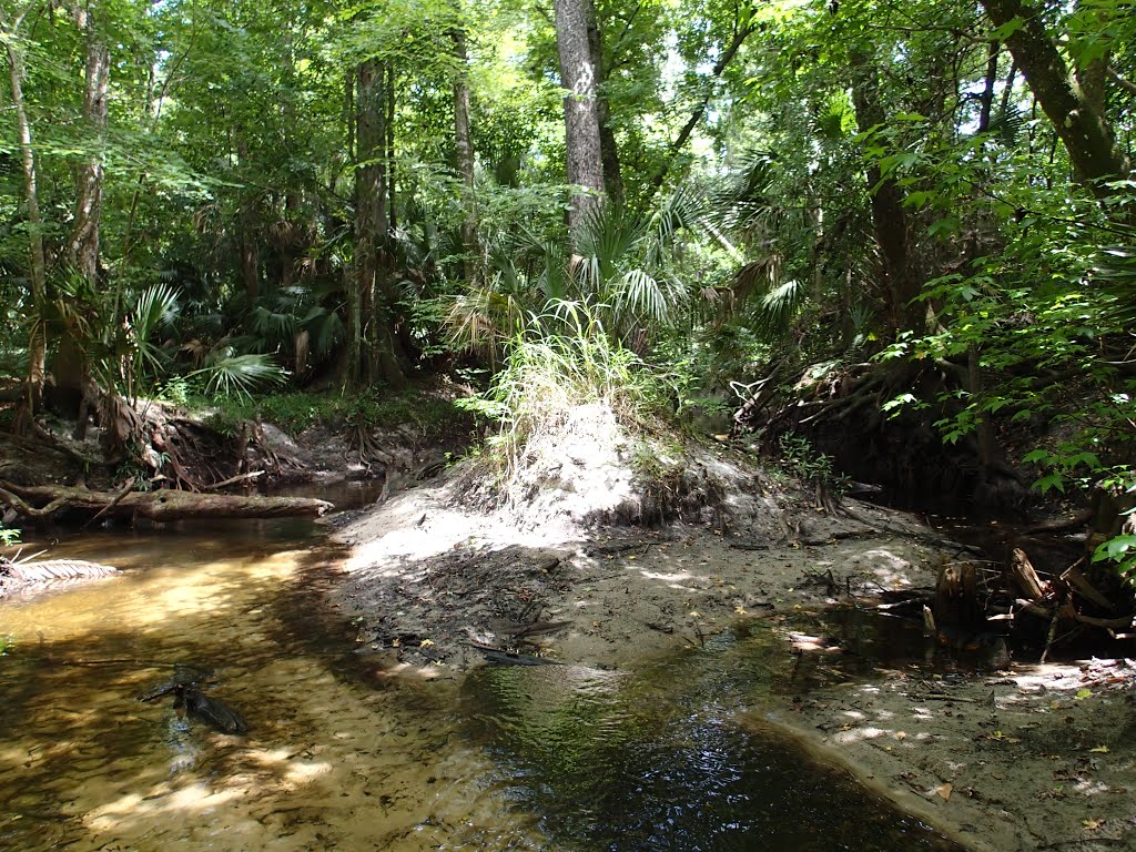 Seminole County, FL, USA by Greg Hammack