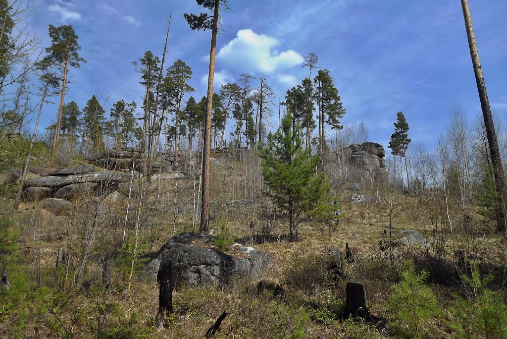 Shelekhovsky District, Irkutsk Oblast, Russia by Roman PETROV