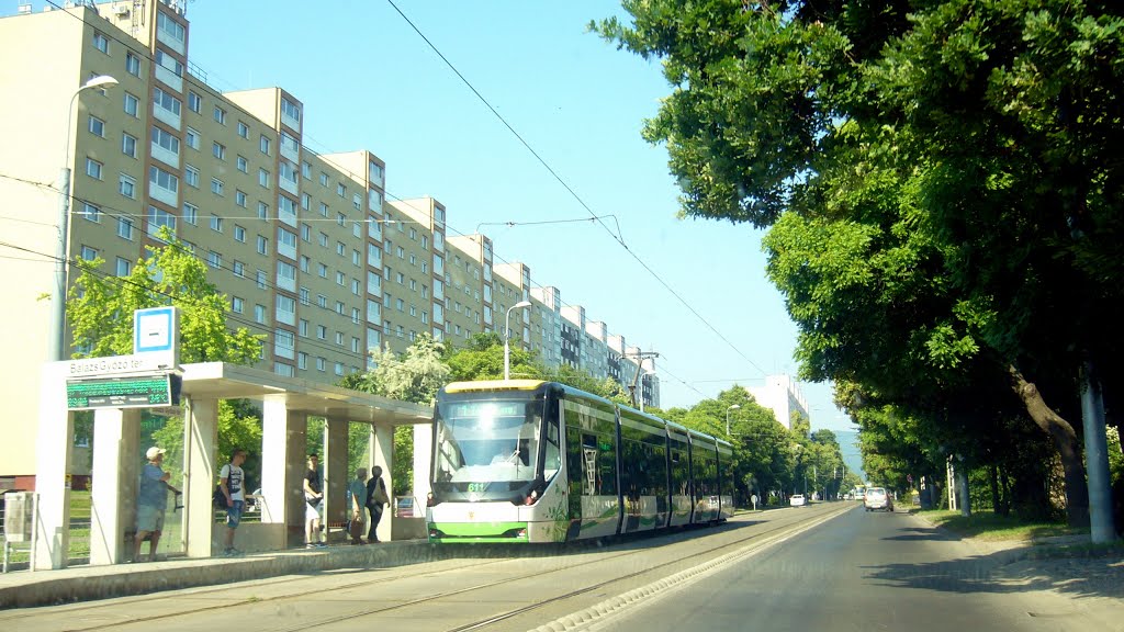 Miskolc, Hungary by del piero