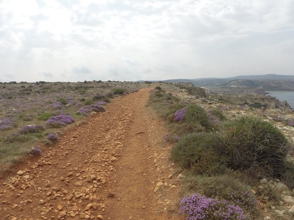 Unnamed Road, Mellieha, Malta by Alan C. Bonnici