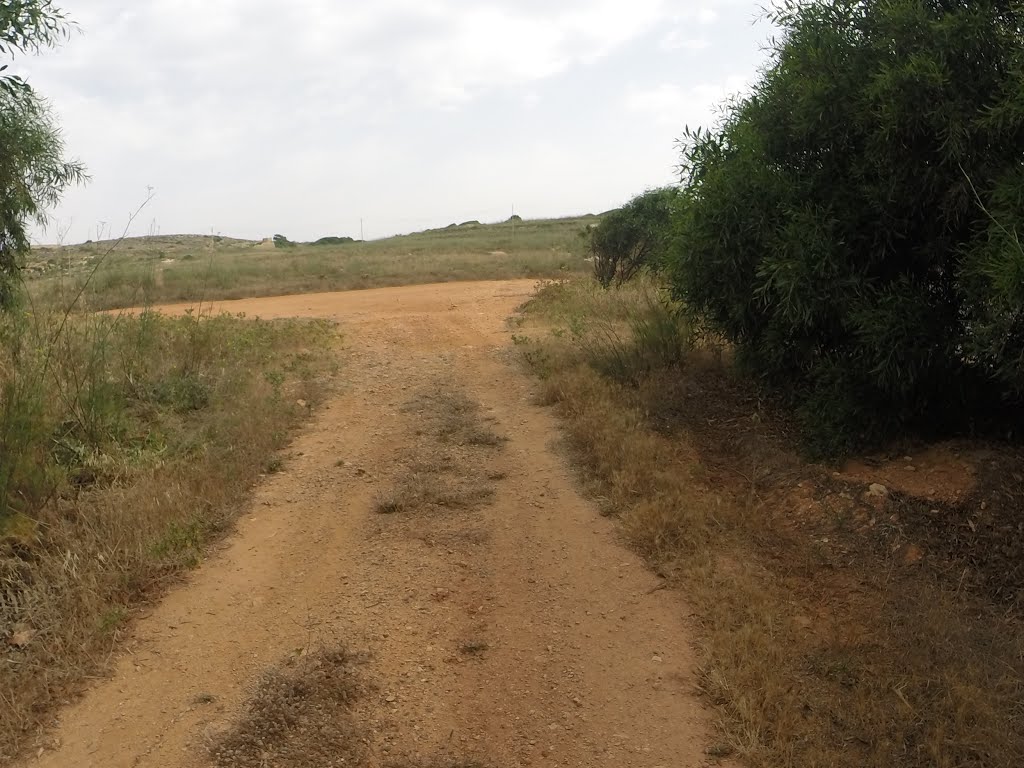 Unnamed Road, Mellieha, Malta by Alan C. Bonnici