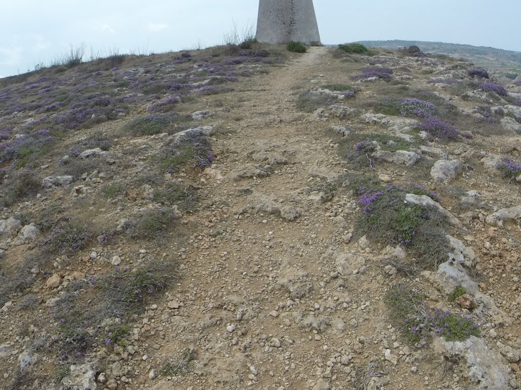 Unnamed Road, Mgarr, Malta by Alan C. Bonnici