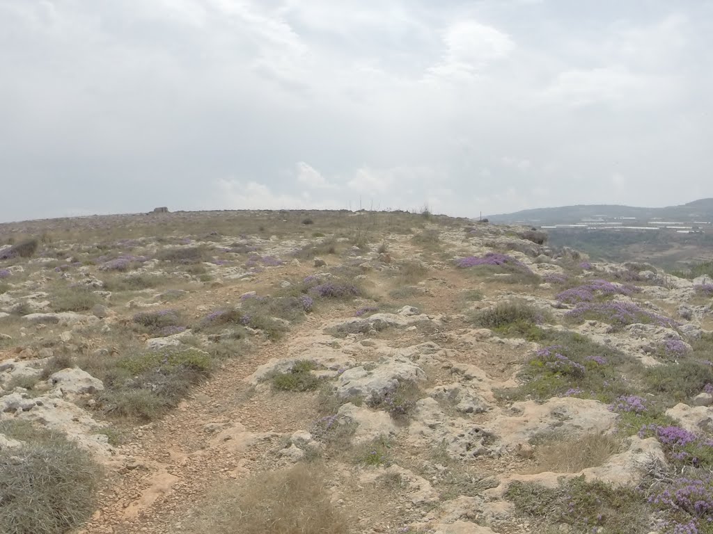 Unnamed Road, Mgarr, Malta by Alan C. Bonnici