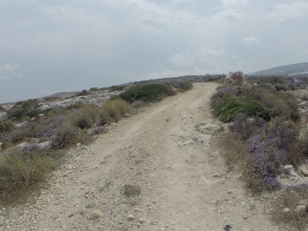 Unnamed Road, Mgarr, Malta by Alan C. Bonnici