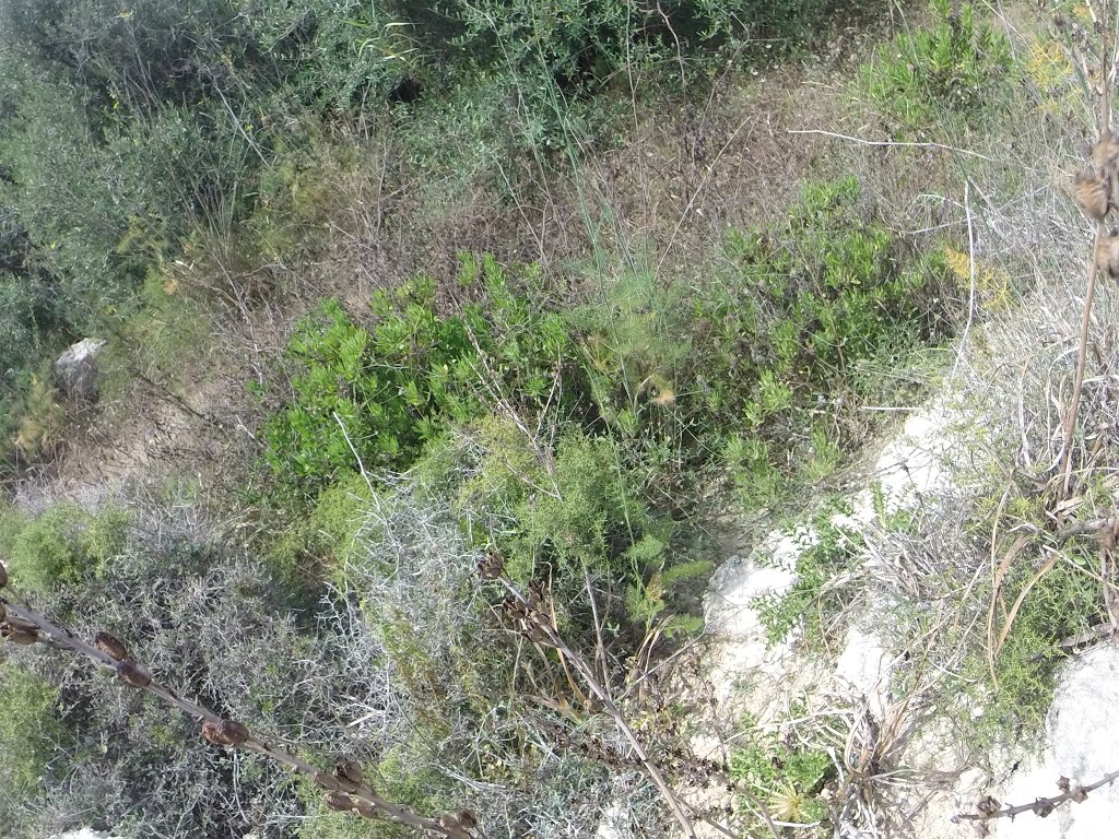 Unnamed Road, Mgarr, Malta by Alan C. Bonnici