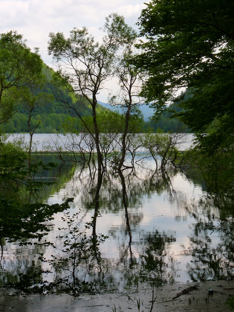 Lac de Kruth by Randy Tchen