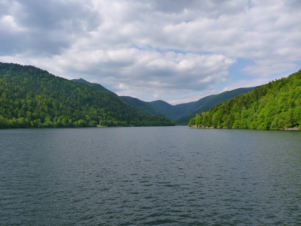 Lac de Kruth by Randy Tchen