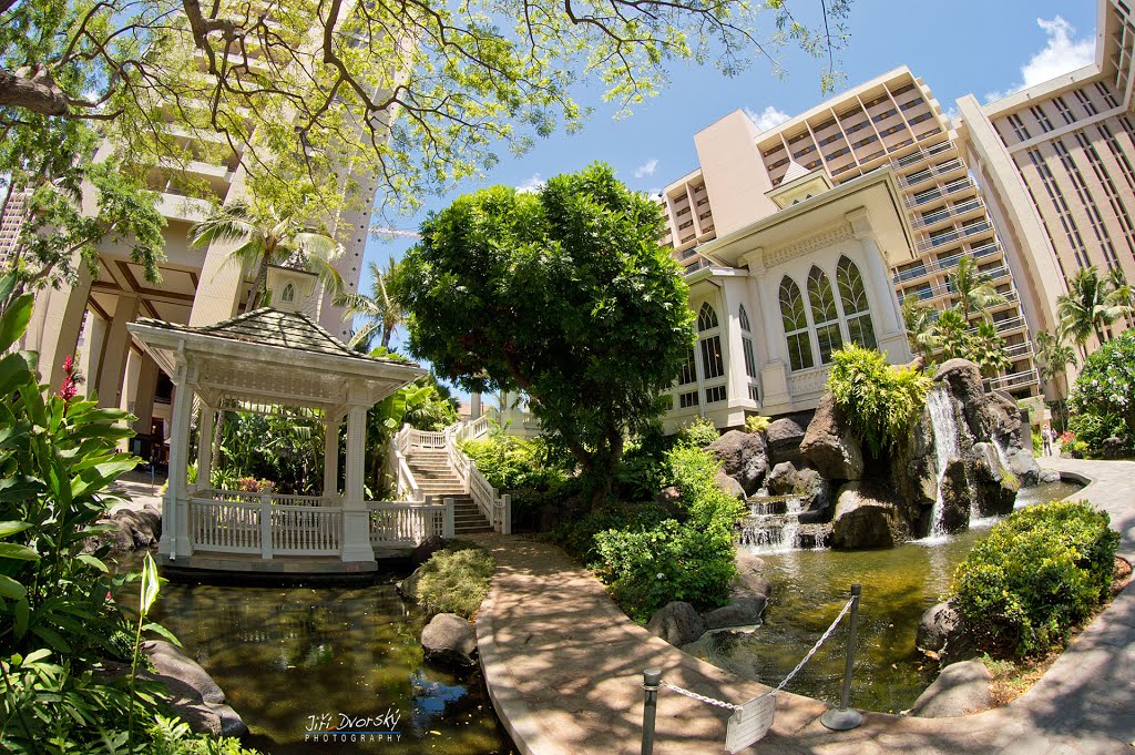 Waikiki, Hawaii, USA by Jiri Dvorsky