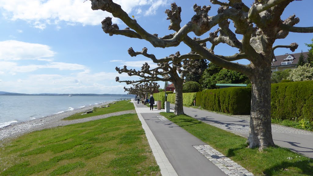 Hagnau am Bodensee : Seepromenade. 06.05.2015 by E.Hannelore.Nowag