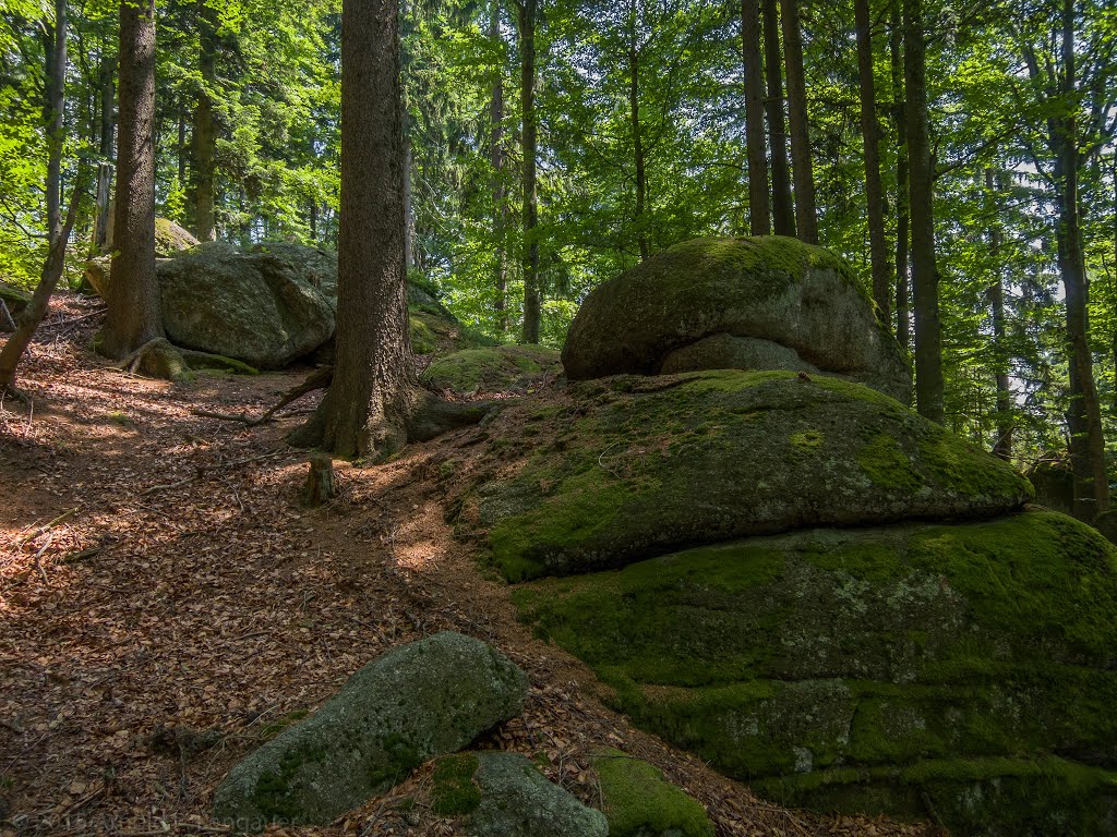 Waldviertel - steinreich by Arnold Lengauer