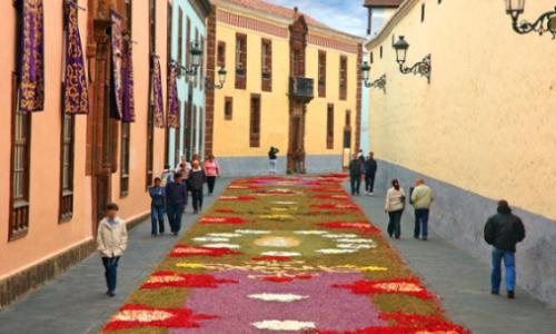 Alfombra de Flores La Orotava by TENERIFE