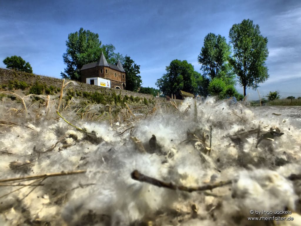 Dormagen, Germany by Ingo Jäckels