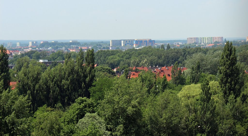 Śląsk zielony. Zabrze z szybu Carnall. by Krzysztof Puzik