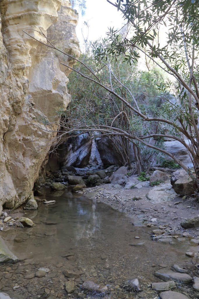 Avakas Gorge, Akamas Peninsula, Cyprus by Dm Bsg