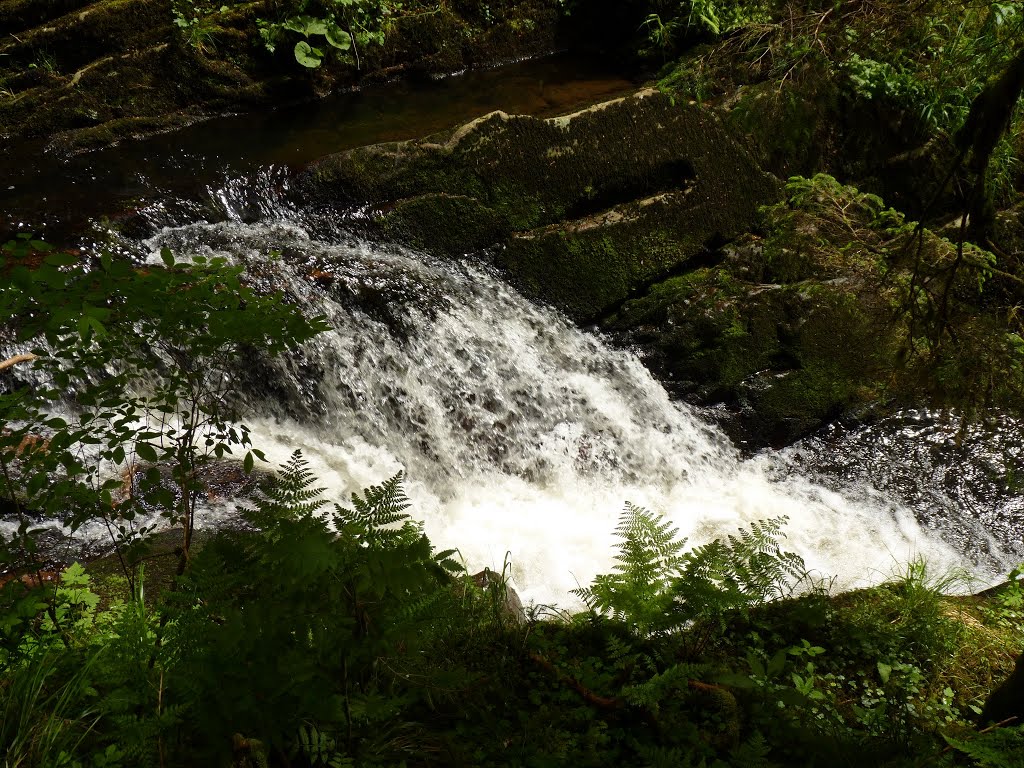 Rötenbachschlucht. by Pieter Klein