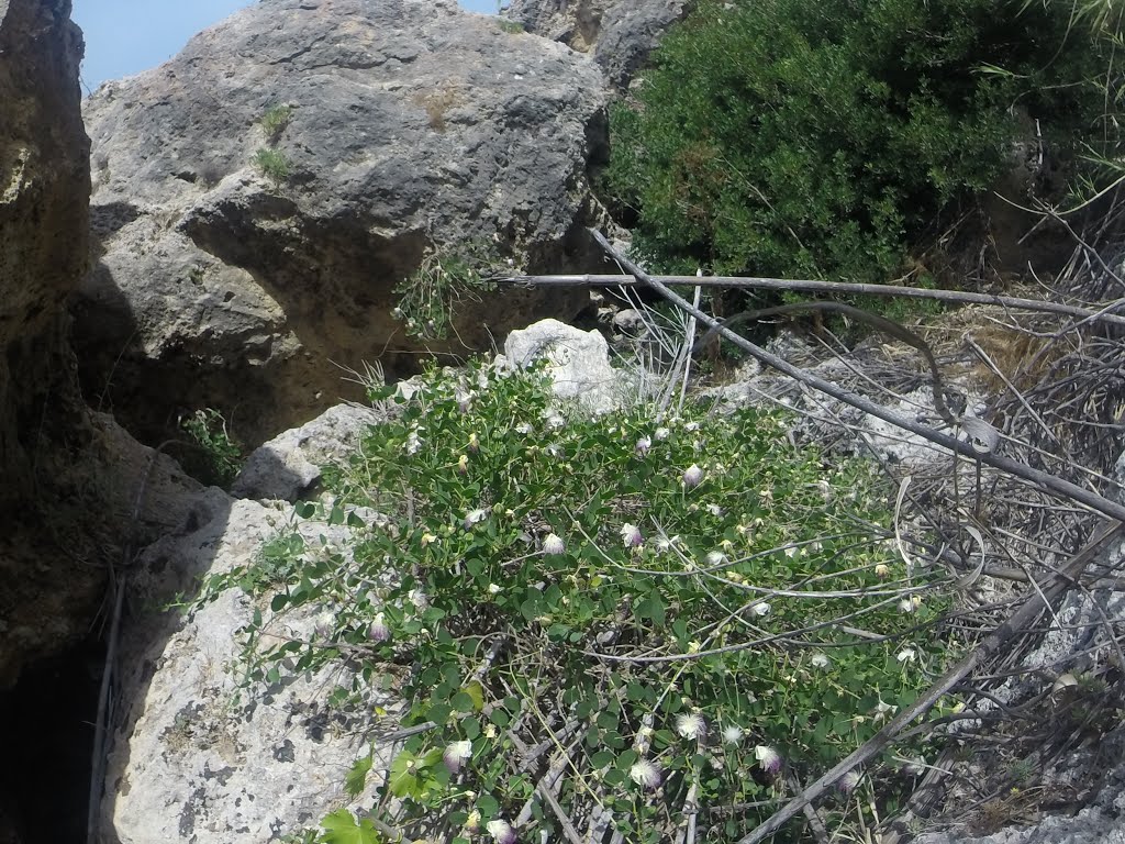 Unnamed Road, Mgarr, Malta by Alan C. Bonnici