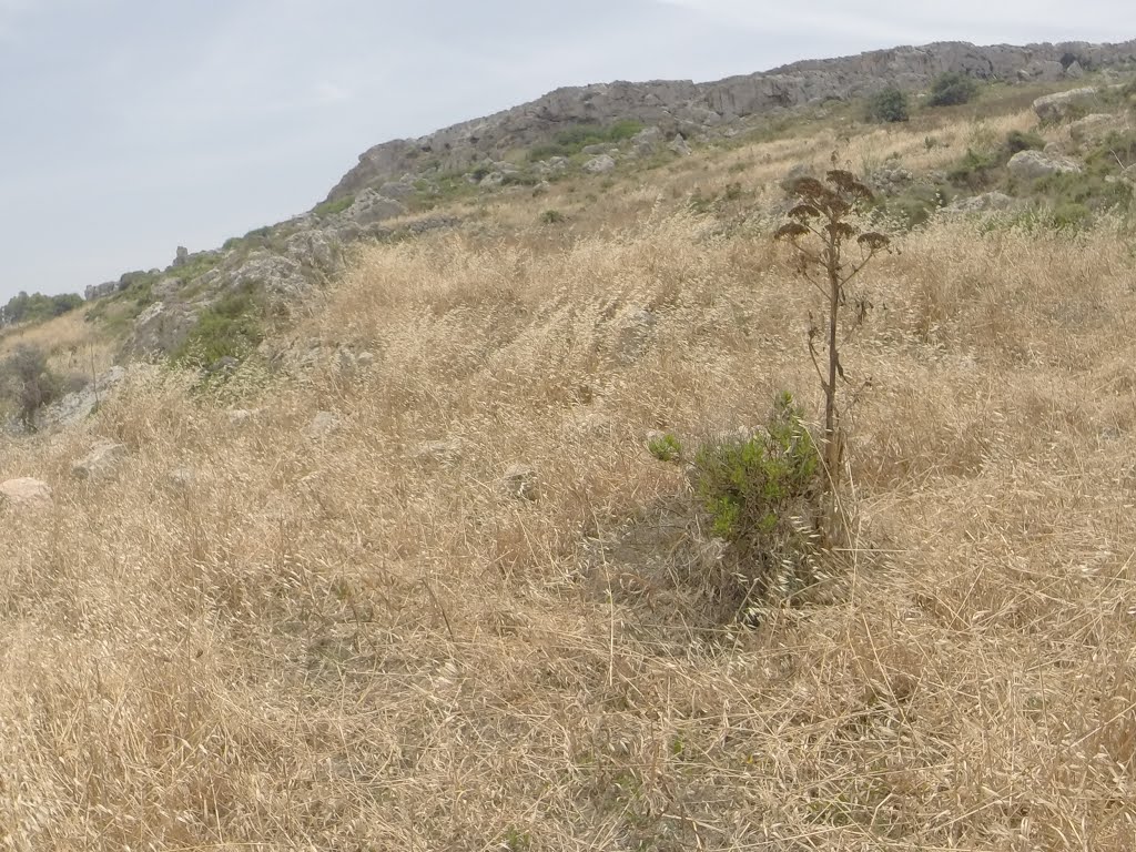 Unnamed Road, Mgarr, Malta by Alan C. Bonnici