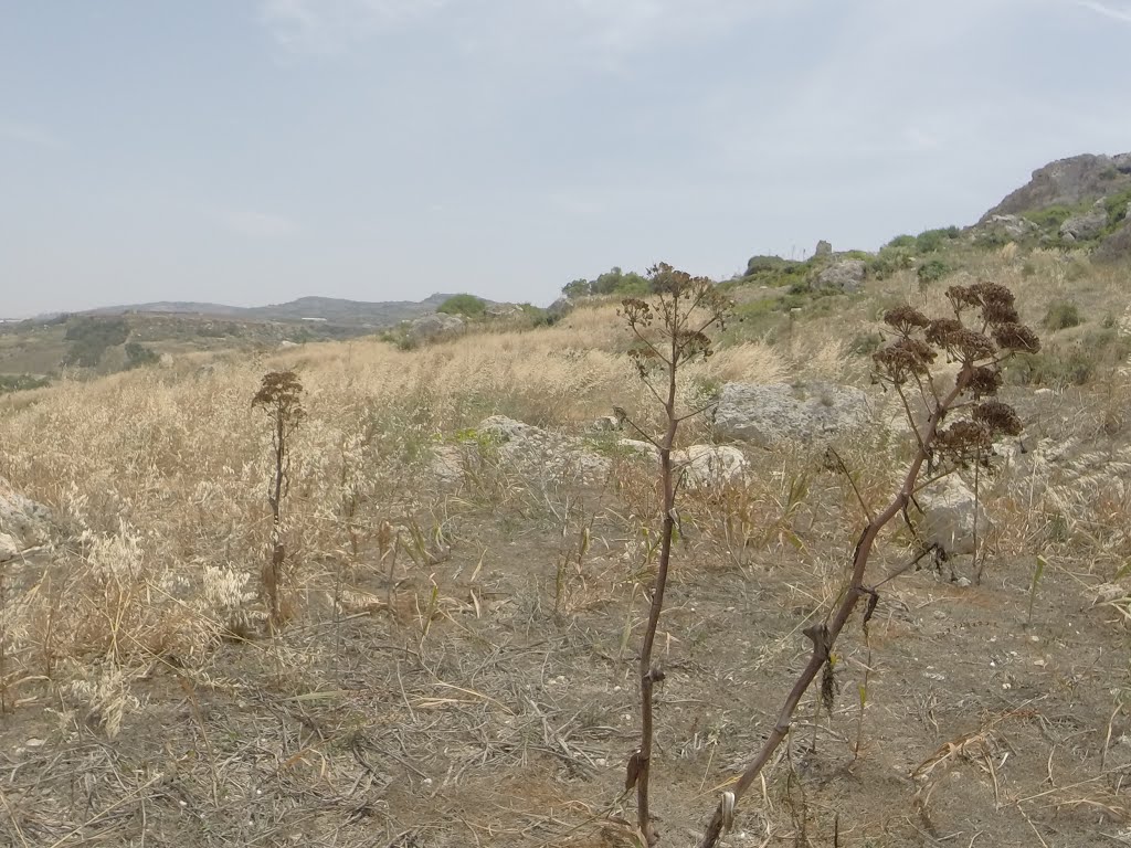 Unnamed Road, Mgarr, Malta by Alan C. Bonnici