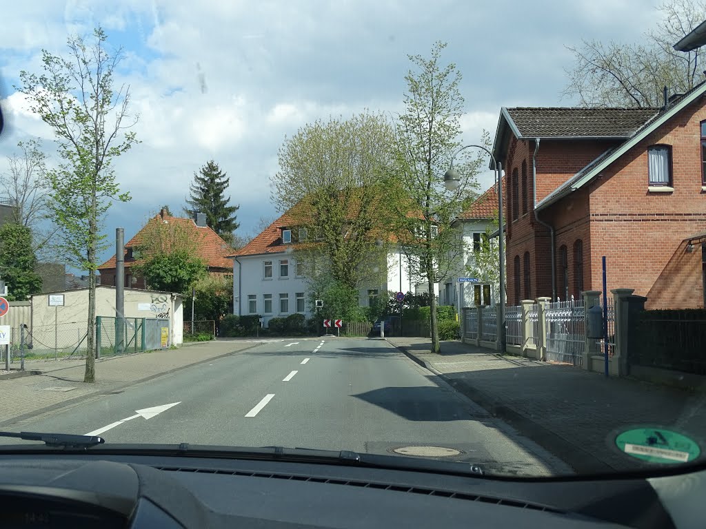 Celle, Germany by Michael Witkowski