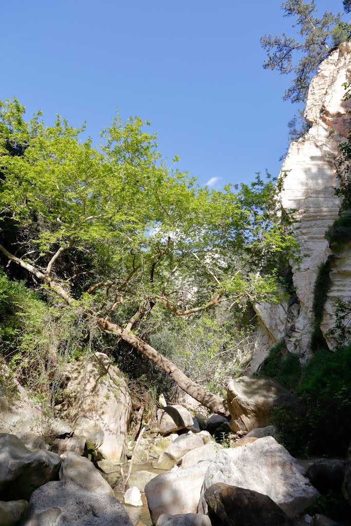 Avakas Gorge, Akamas Peninsula, Cyprus by Dm Bsg