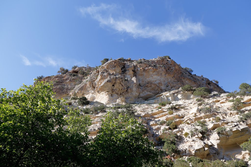 Avakas Gorge, Akamas Peninsula, Cyprus by Dm Bsg