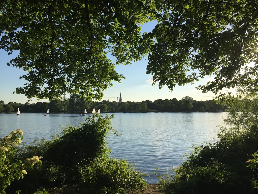 Le lac Alster (Außenalster) Hambourg, Allemagne by Franck Rontet