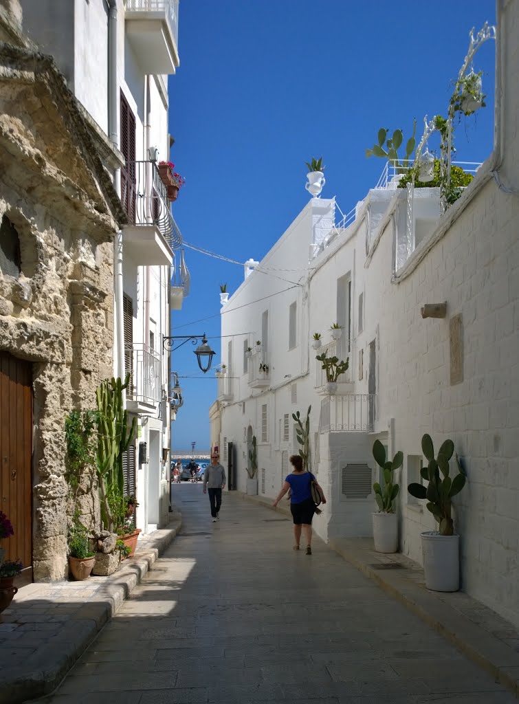 Via S. Vito, Centro Storico, Monopoli (Bari), Italy. by Hans R. van der Woud…