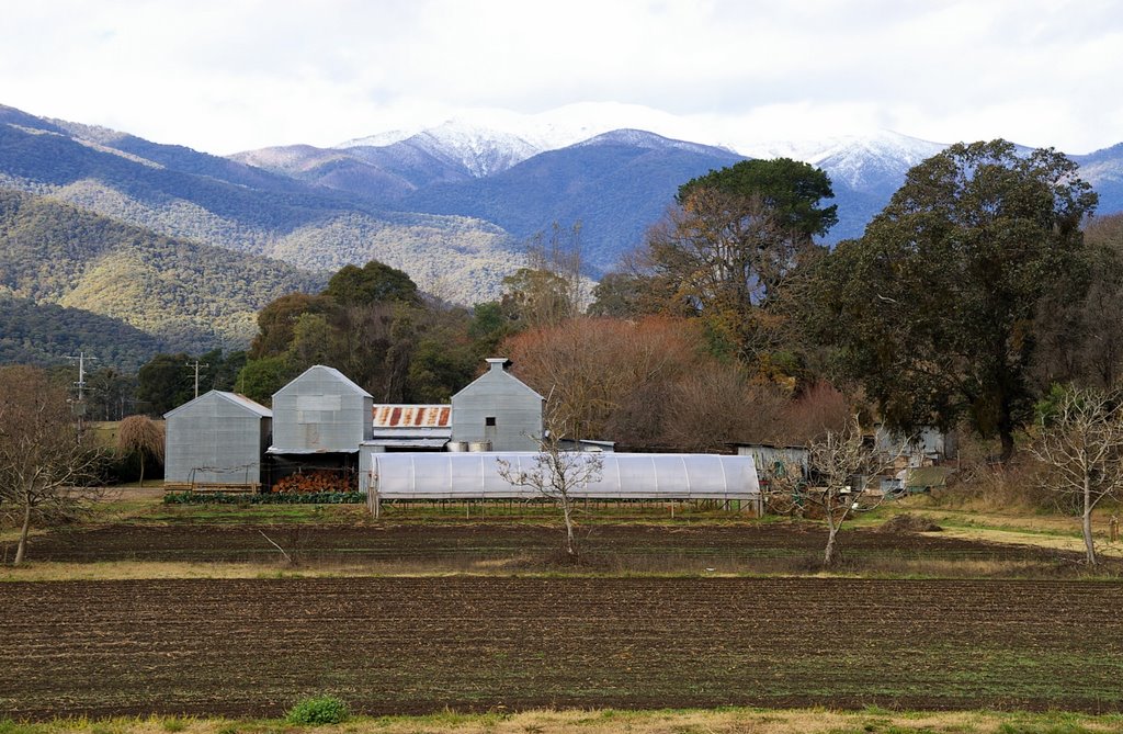 Smoko to Mt Feathertop by snucklepuff