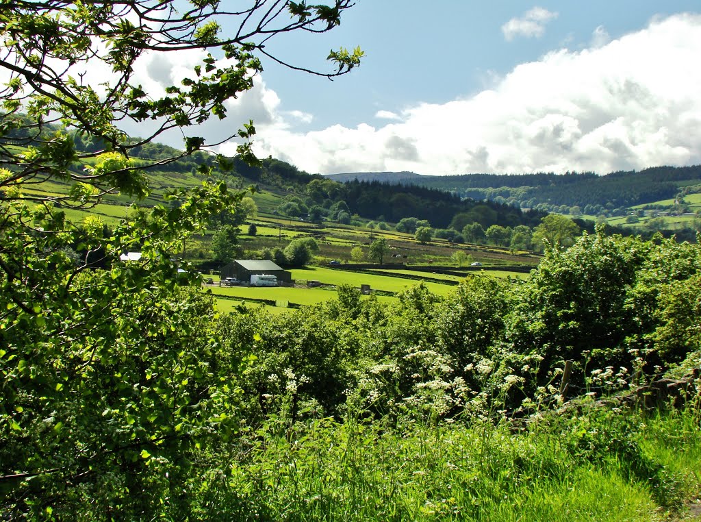 Bradfield, UK by sixxsix