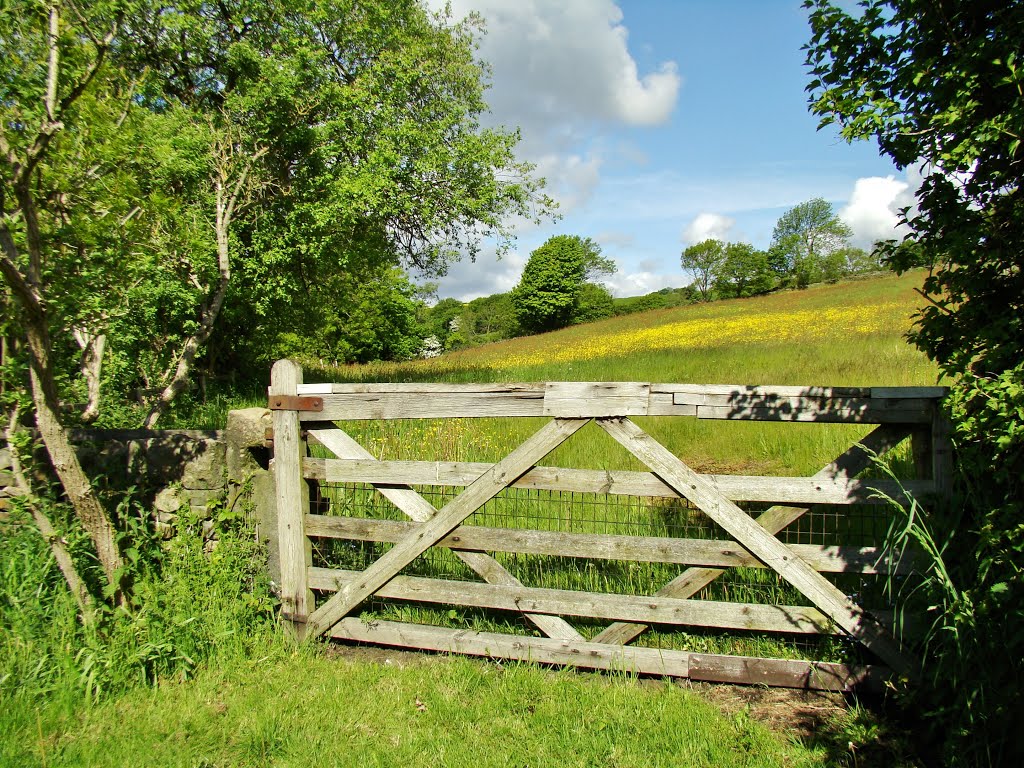 Bradfield, UK by sixxsix