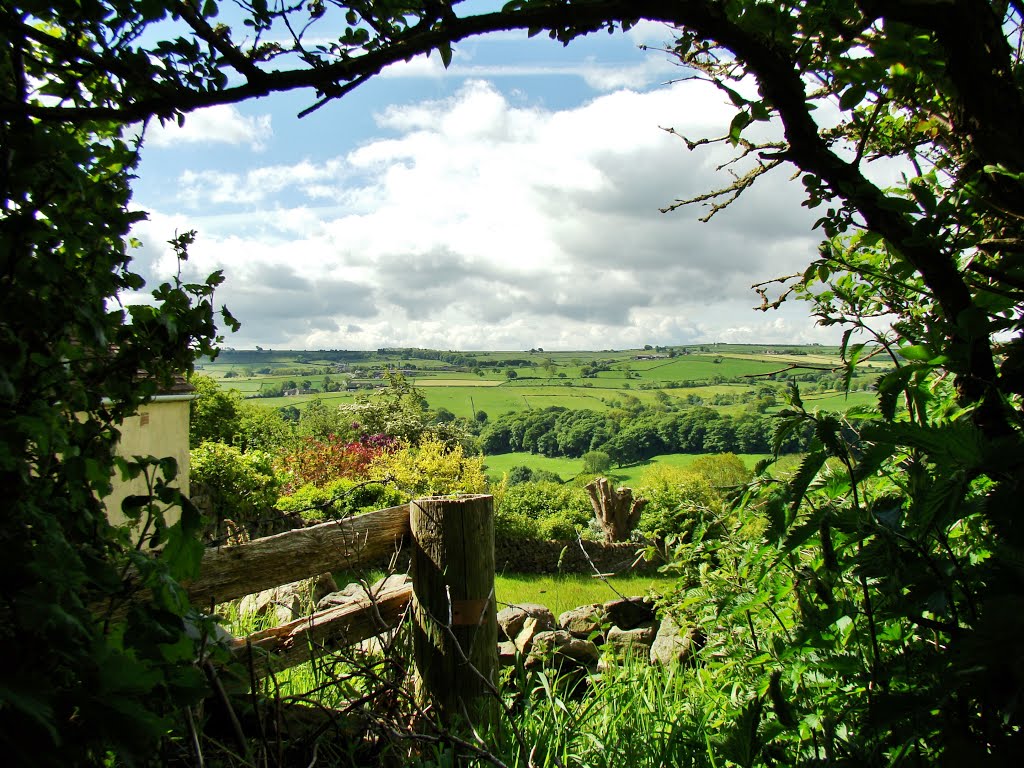 Bradfield, UK by sixxsix