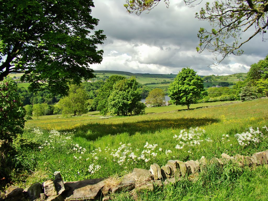 Bradfield, UK by sixxsix