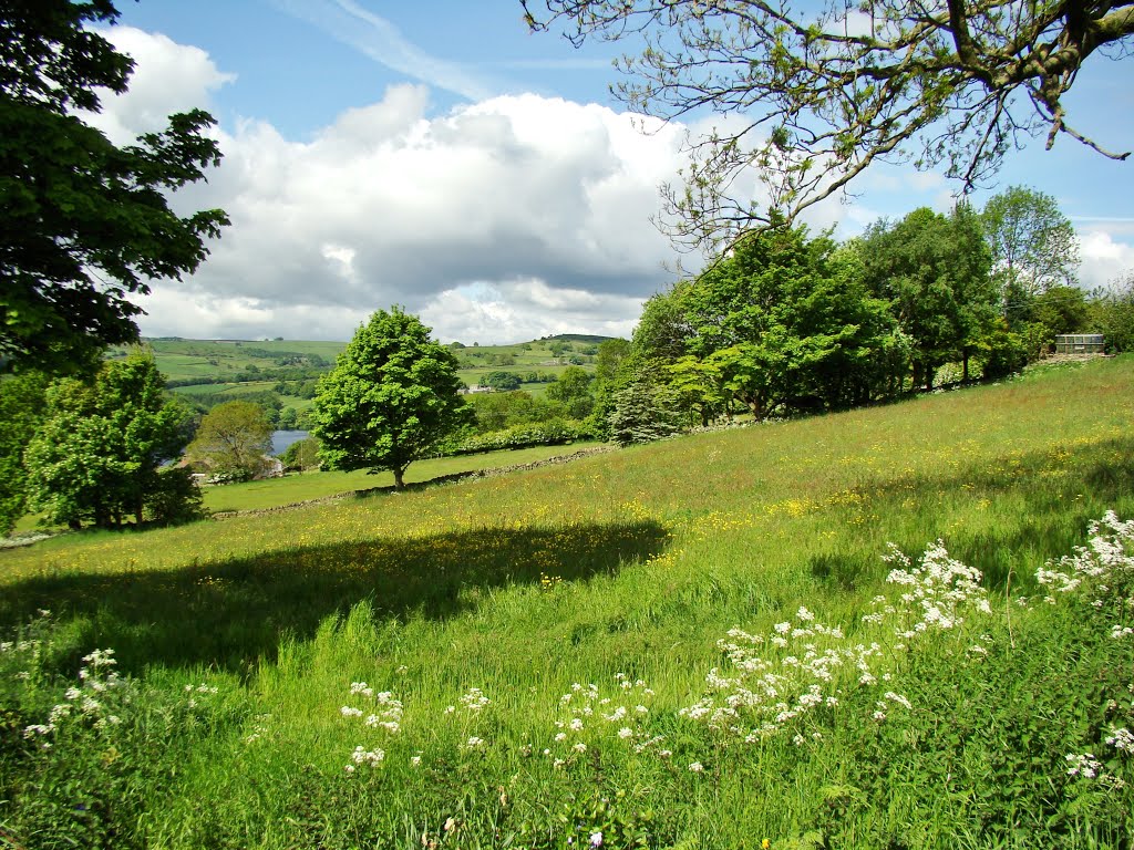 Bradfield, UK by sixxsix