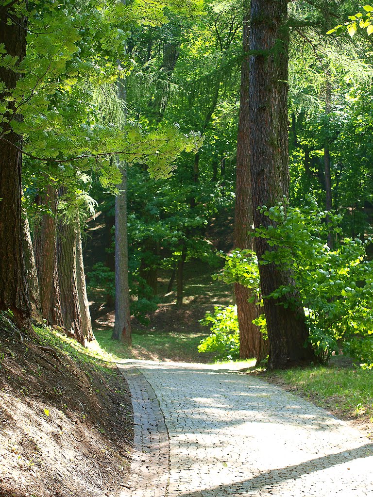 Przemyśl...park na Wzgórzu Zamkowym... by agaimm