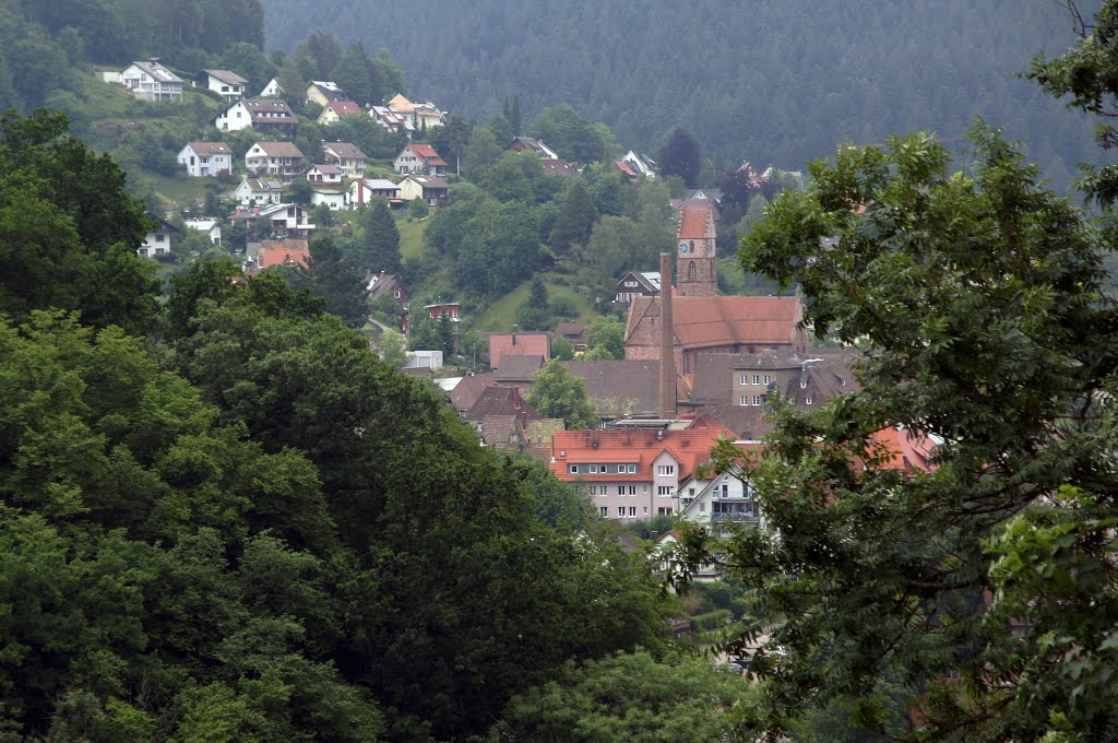 72275 Alpirsbach, Germany by Jürgen Düring