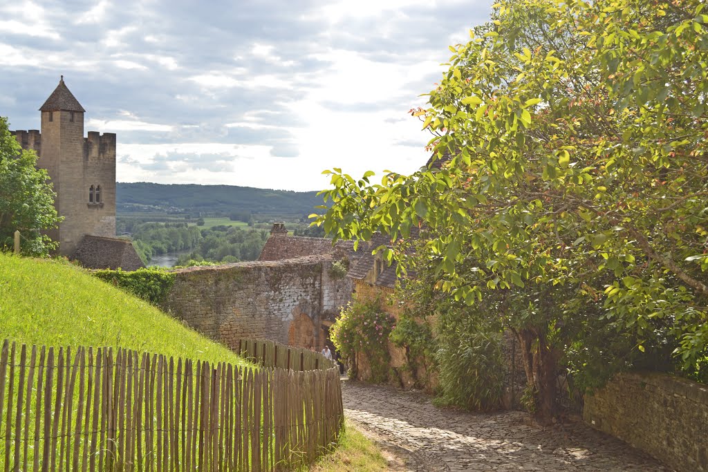 24220 Beynac-et-Cazenac, France by ENRICO ZUK