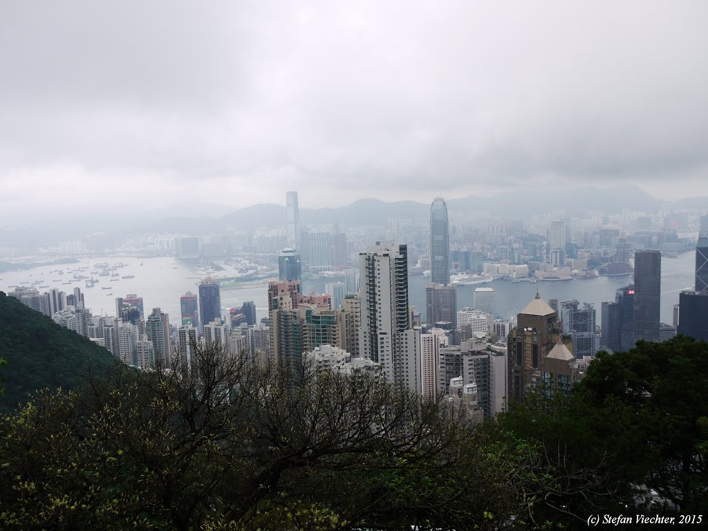 Hong Kong Skyline seen from The Peak by Stefan Viechter