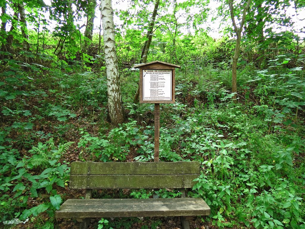 Zschopautal-Wanderweg - Rastplatz am Wander- und Zunftliederweg by Rudolf Henkel