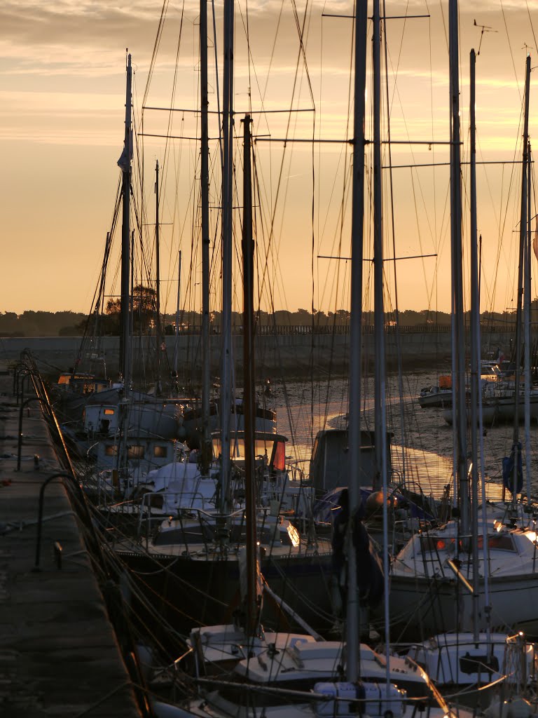 Le jour se lève sur le port by donatienne trichet