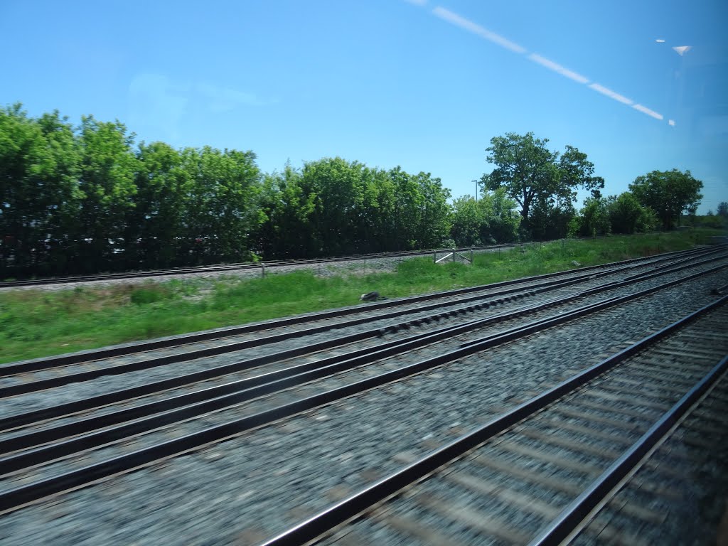 Looking out the left window on a trip from Union to Pearson, 2015 06 06 A (431).JPG by OldYorkGuy