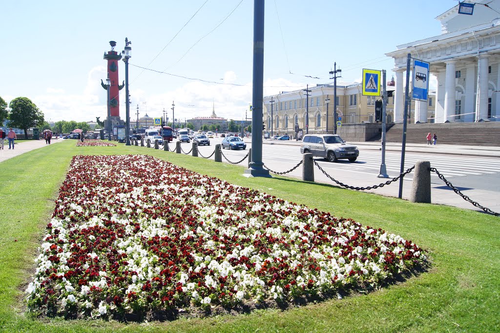 Vasileostrovsky District, St Petersburg, Russia by Andrei Konnov